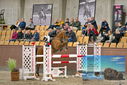 Filename=PT9_6966.JPG
Filesize=463KiB
Dimensions=1224x817
Date added=Oct 15, 2022 PT9_6966.JPG