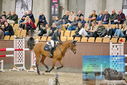Filename=PT9_6970.JPG
Filesize=448KiB
Dimensions=1224x817
Date added=Oct 15, 2022 PT9_6970.JPG