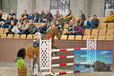 Filename=PT9_6973.JPG
Filesize=438KiB
Dimensions=1224x817
Date added=Oct 15, 2022 PT9_6973.JPG