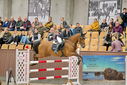 Filename=PT9_6975.JPG
Filesize=459KiB
Dimensions=1224x817
Date added=Oct 15, 2022 PT9_6975.JPG