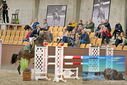 Filename=PT9_6984.JPG
Filesize=466KiB
Dimensions=1224x817
Date added=Oct 15, 2022 PT9_6984.JPG