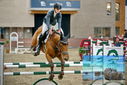 Filename=PT9_6995.JPG
Filesize=362KiB
Dimensions=1224x817
Date added=Oct 15, 2022 PT9_6995.JPG