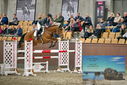Filename=PT9_6998.JPG
Filesize=474KiB
Dimensions=1224x817
Date added=Oct 15, 2022 PT9_6998.JPG