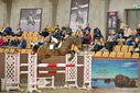 Filename=PT9_7008.JPG
Filesize=405KiB
Dimensions=1224x817
Date added=Oct 15, 2022 PT9_7008.JPG