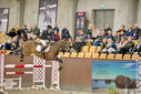 Filename=PT9_7009.JPG
Filesize=460KiB
Dimensions=1224x817
Date added=Oct 15, 2022 PT9_7009.JPG