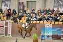 Filename=PT9_7011.JPG
Filesize=474KiB
Dimensions=1224x817
Date added=Oct 15, 2022 PT9_7011.JPG