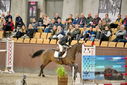Filename=PT9_7012.JPG
Filesize=445KiB
Dimensions=1224x817
Date added=Oct 15, 2022 PT9_7012.JPG
