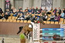 Filename=PT9_7013.JPG
Filesize=408KiB
Dimensions=1224x817
Date added=Oct 15, 2022 PT9_7013.JPG