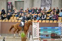 Filename=PT9_7037.JPG
Filesize=458KiB
Dimensions=1224x817
Date added=Oct 15, 2022 PT9_7037.JPG