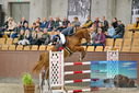 Filename=PT9_7039.JPG
Filesize=439KiB
Dimensions=1224x817
Date added=Oct 15, 2022 PT9_7039.JPG