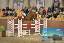 Filename=PT9_7045.JPG
Filesize=453KiB
Dimensions=1224x817
Date added=Oct 15, 2022 PT9_7045.JPG