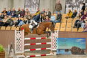Filename=PT9_7051.JPG
Filesize=432KiB
Dimensions=1224x817
Date added=Oct 15, 2022 PT9_7051.JPG