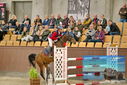 Filename=PT9_7060.JPG
Filesize=447KiB
Dimensions=1224x817
Date added=Oct 15, 2022 PT9_7060.JPG