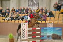 Filename=PT9_7061.JPG
Filesize=463KiB
Dimensions=1224x817
Date added=Oct 15, 2022 PT9_7061.JPG