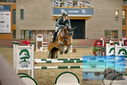 Filename=PT9_7065.JPG
Filesize=384KiB
Dimensions=1224x817
Date added=Oct 15, 2022 PT9_7065.JPG