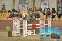 Filename=PT9_7076.JPG
Filesize=447KiB
Dimensions=1224x817
Date added=Oct 15, 2022 PT9_7076.JPG