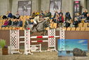 Filename=PT9_7077.JPG
Filesize=440KiB
Dimensions=1224x817
Date added=Oct 15, 2022 PT9_7077.JPG