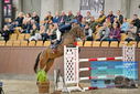 Filename=PT9_7088.JPG
Filesize=418KiB
Dimensions=1224x817
Date added=Oct 15, 2022 PT9_7088.JPG