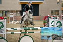 Filename=PT9_7093.JPG
Filesize=374KiB
Dimensions=1224x817
Date added=Oct 15, 2022 PT9_7093.JPG