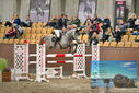 Filename=PT9_7099.JPG
Filesize=428KiB
Dimensions=1224x817
Date added=Oct 15, 2022 PT9_7099.JPG