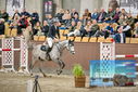 Filename=PT9_7101.JPG
Filesize=428KiB
Dimensions=1224x817
Date added=Oct 15, 2022 PT9_7101.JPG