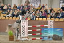 Filename=PT9_7102.JPG
Filesize=462KiB
Dimensions=1224x817
Date added=Oct 15, 2022 PT9_7102.JPG