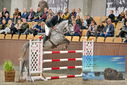 Filename=PT9_7103.JPG
Filesize=483KiB
Dimensions=1224x817
Date added=Oct 15, 2022 PT9_7103.JPG
