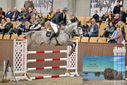 Filename=PT9_7104.JPG
Filesize=463KiB
Dimensions=1224x817
Date added=Oct 15, 2022 PT9_7104.JPG