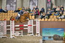 Filename=PT9_7110.JPG
Filesize=468KiB
Dimensions=1224x817
Date added=Oct 15, 2022 PT9_7110.JPG