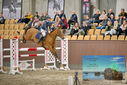 Filename=PT9_7111.JPG
Filesize=433KiB
Dimensions=1224x817
Date added=Oct 15, 2022 PT9_7111.JPG