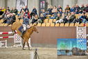 Filename=PT9_7112.JPG
Filesize=456KiB
Dimensions=1224x817
Date added=Oct 15, 2022 PT9_7112.JPG
