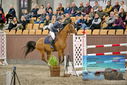 Filename=PT9_7114.JPG
Filesize=461KiB
Dimensions=1224x817
Date added=Oct 15, 2022 PT9_7114.JPG