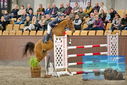 Filename=PT9_7115.JPG
Filesize=423KiB
Dimensions=1224x817
Date added=Oct 15, 2022 PT9_7115.JPG