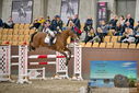Filename=PT9_7124.JPG
Filesize=449KiB
Dimensions=1224x817
Date added=Oct 15, 2022 PT9_7124.JPG