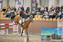 Filename=PT9_7125.JPG
Filesize=451KiB
Dimensions=1224x817
Date added=Oct 15, 2022 PT9_7125.JPG