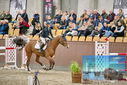 Filename=PT9_7126.JPG
Filesize=446KiB
Dimensions=1224x817
Date added=Oct 15, 2022 PT9_7126.JPG