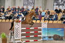 Filename=PT9_7129.JPG
Filesize=430KiB
Dimensions=1224x817
Date added=Oct 15, 2022 PT9_7129.JPG