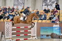 Filename=PT9_7130.JPG
Filesize=419KiB
Dimensions=1224x817
Date added=Oct 15, 2022 PT9_7130.JPG