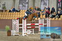 Filename=PT9_7138.JPG
Filesize=473KiB
Dimensions=1224x817
Date added=Oct 15, 2022 PT9_7138.JPG