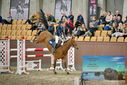 Filename=PT9_7140.JPG
Filesize=466KiB
Dimensions=1224x817
Date added=Oct 15, 2022 PT9_7140.JPG