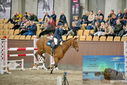 Filename=PT9_7141.JPG
Filesize=444KiB
Dimensions=1224x817
Date added=Oct 15, 2022 PT9_7141.JPG
