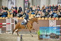 Filename=PT9_7142.JPG
Filesize=459KiB
Dimensions=1224x817
Date added=Oct 15, 2022 PT9_7142.JPG