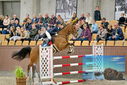 Filename=PT9_7145.JPG
Filesize=434KiB
Dimensions=1224x817
Date added=Oct 15, 2022 PT9_7145.JPG