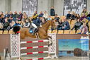 Filename=PT9_7146.JPG
Filesize=443KiB
Dimensions=1224x817
Date added=Oct 15, 2022 PT9_7146.JPG
