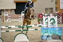 Filename=PT9_7150.JPG
Filesize=377KiB
Dimensions=1224x817
Date added=Oct 15, 2022 PT9_7150.JPG