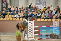 Filename=PT9_7159.JPG
Filesize=461KiB
Dimensions=1224x817
Date added=Oct 15, 2022 PT9_7159.JPG