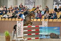 Filename=PT9_7160.JPG
Filesize=428KiB
Dimensions=1224x817
Date added=Oct 15, 2022 PT9_7160.JPG