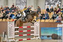 Filename=PT9_7161.JPG
Filesize=425KiB
Dimensions=1224x817
Date added=Oct 15, 2022 PT9_7161.JPG