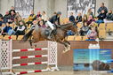 Filename=PT9_7162.JPG
Filesize=441KiB
Dimensions=1224x817
Date added=Oct 15, 2022 PT9_7162.JPG