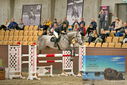 Filename=PT9_7169.JPG
Filesize=423KiB
Dimensions=1224x817
Date added=Oct 15, 2022 PT9_7169.JPG